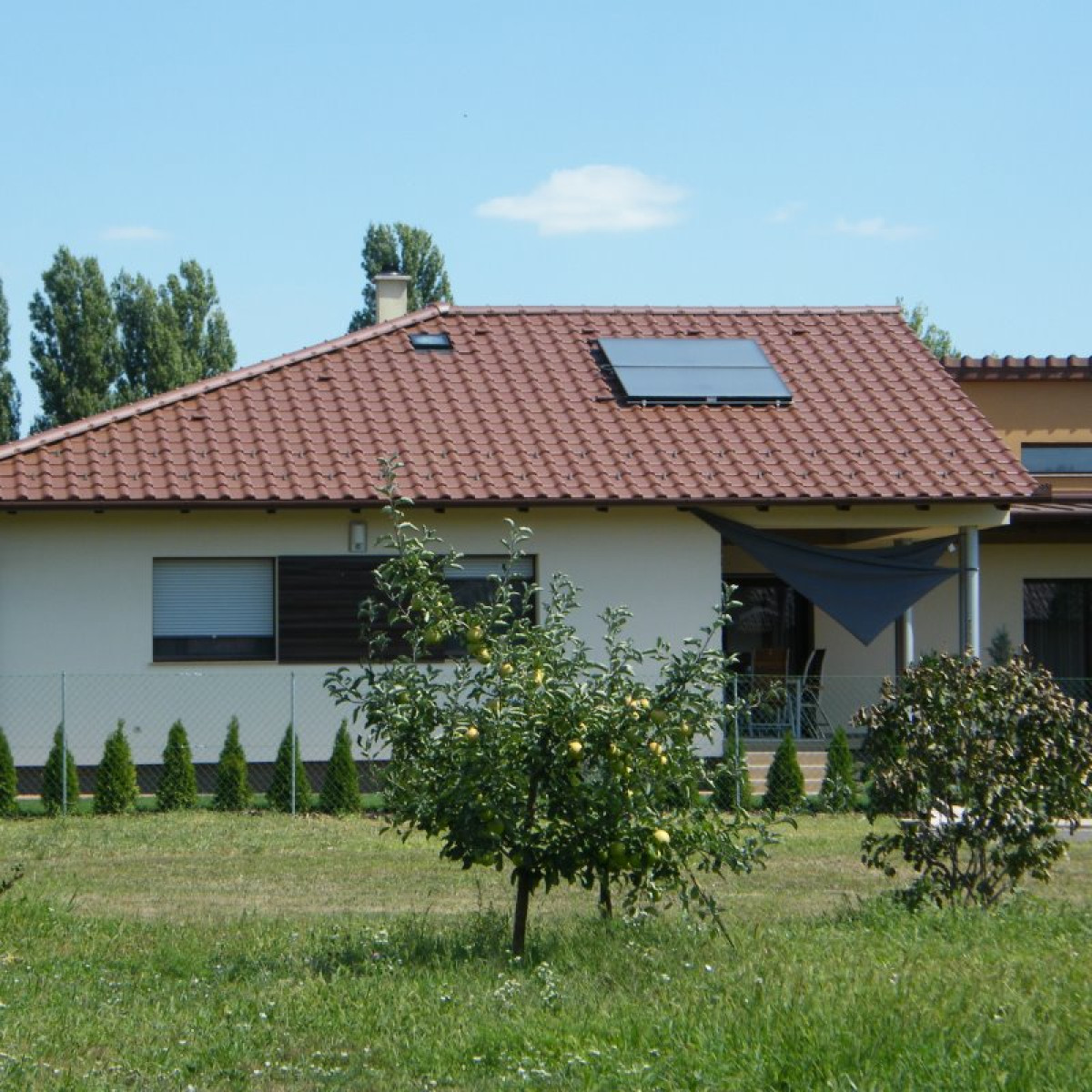Sötétbarna engóbozott